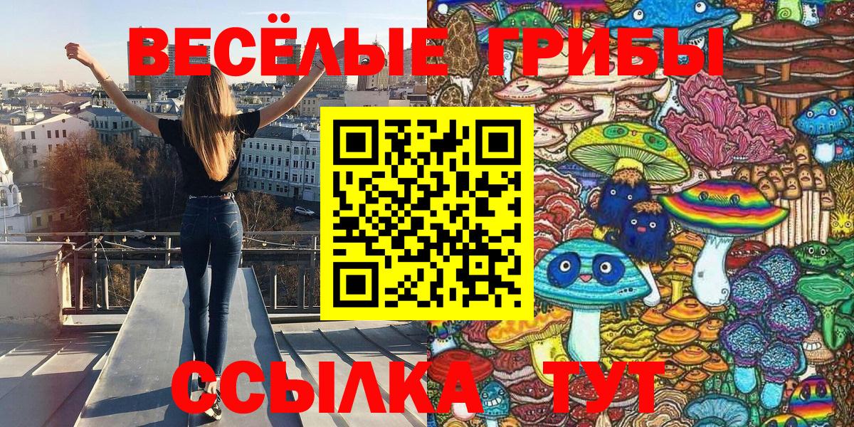 закладки  Вход с VPN  Кудымкар  Галлюциногенные грибы Magic Shrooms 